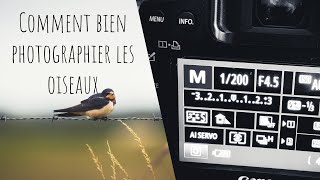 COMMENT PHOTOGRAPHIER LES OISEAUX (TECHNIQUES, MATERIELS ET REGLAGES)