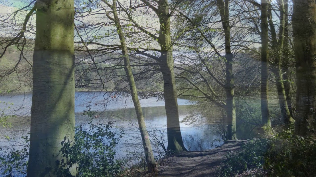 More Hall Reservoir walk, Sheffield, April 2014