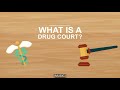 What is a drug court?