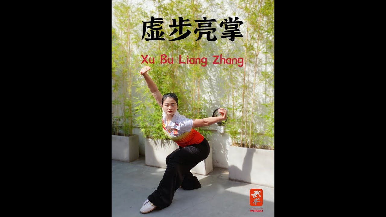 Wushu Kung Fu 267 Forma 32 de ChangQuan 长拳三路 Parte 10