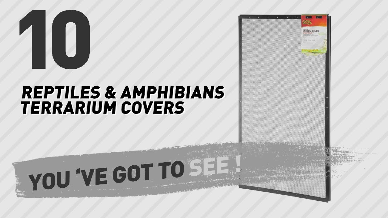 cats inn Top 10 Reptiles & Amphibians Terrarium Covers // Pets Lovers Channel Presents:
