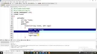 C++ Destructors to Release Resourcess