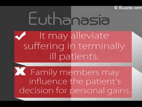 Pro con essay euthanasia