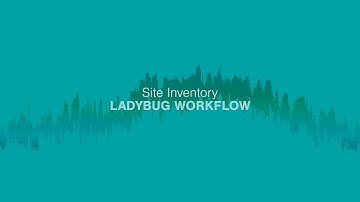 Site Inventory: Ladybug Workflow
