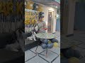 Happy birthday 🎉 Sparky #shorts #shortsfeed #viral #shortsviral #shortvideo #explore #happybirthday