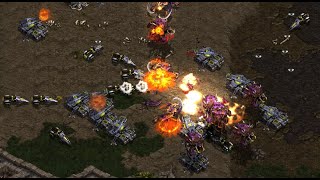 DROP THOSE ULTRAS! herO! 🇰🇷 (Z) Rush! 🇰🇷 (T) on Polypoid - StarCraft - Brood War Remastered