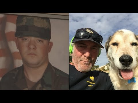 Video: Vojenský pes adoptovaný rodinou padlého vojaka; Záverečný sľub je splnený