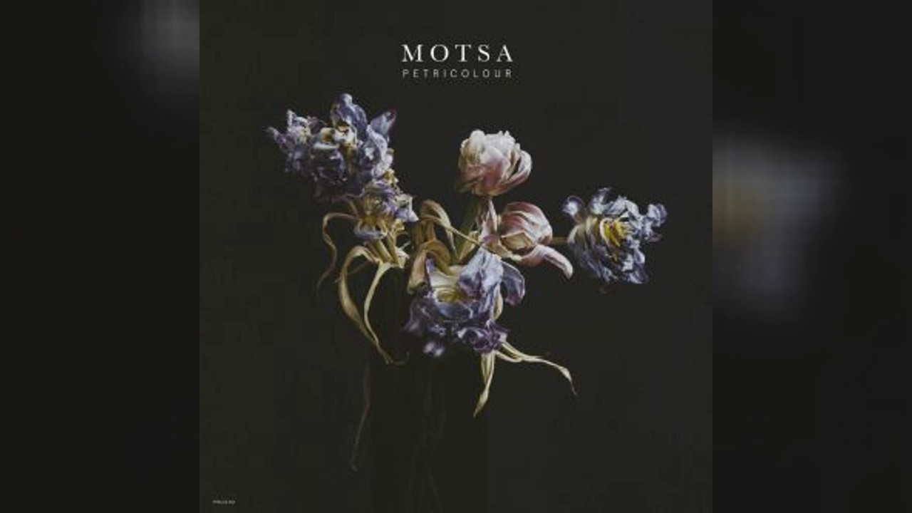 MOTSA 'Colours' feat. David Österle - YouTube