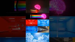 Il colore Magenta NON ESISTE! (E altre bugie del tuo cervello) 🧠🌈