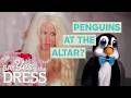 Bride Demands Penguins & Tigers At Her Ceremony! | Say Yes To The Dress: The Big Day