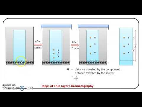 Video: Prinsip Kromatografi Lapis Tipis