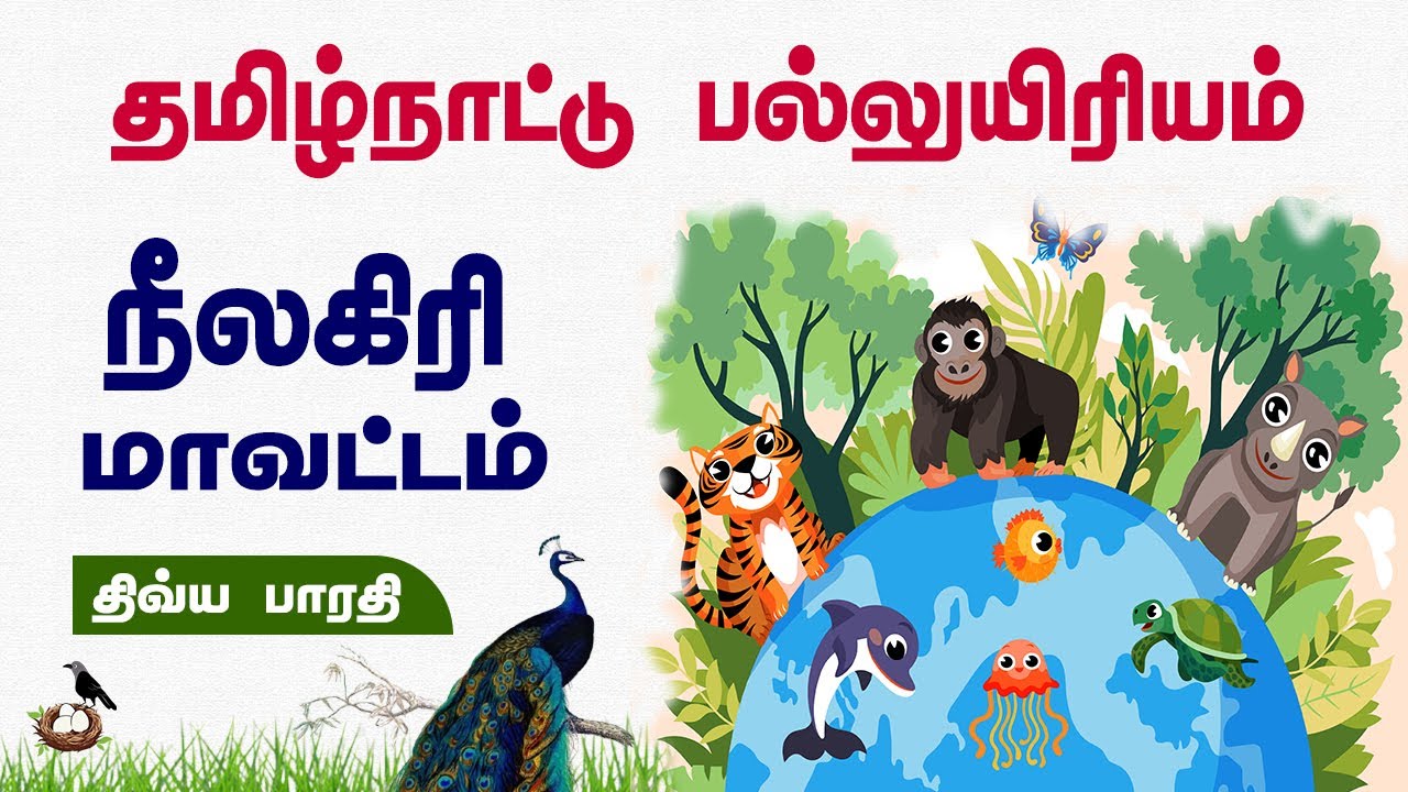 Niligiris Biodiverstiy district I Divya Bharathi Iநீலகிரி பல்லுயிரியம் 