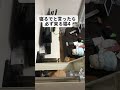 寝るでと言ったら必ず来る猫#保護猫 #茶トラ #可愛い猫