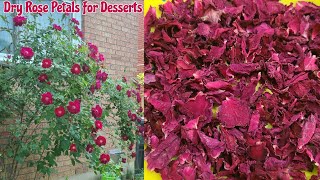 How to Harvest & Dry Rose Petals - Lonely Pines Farm