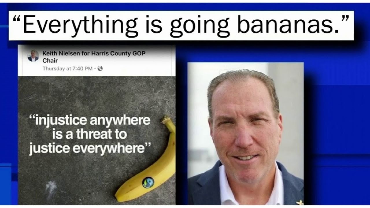 Harris County GOP Chairman-elect under fire