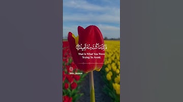 ( وَجَآءَتۡ سَكۡرَةُ ٱلۡمَوۡتِ بِٱلۡحَقِّۖ ذَٰلِكَ مَا كُنتَ مِنۡهُ تَحِيدُ ) #سورة ق #غزة #اسلام