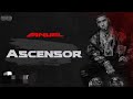 Ascensor Anuel AA Chris Jedi Gaby Music Video Oficial Pandemia mp3