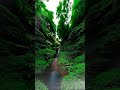 Mysterious 😮 #shorts #ytshorts #shortsfeed