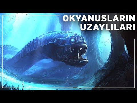 Denizlerin Dünya Dışı Varlıkları : Okyanuslarımızda Sıradışı Bir Yolculuk | Hayvan Belgeseli