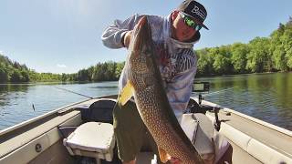 Top 5 Baits For Spring Pike Fishing