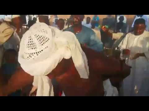 حافظ طه سيرة أغاني طمبور 2018