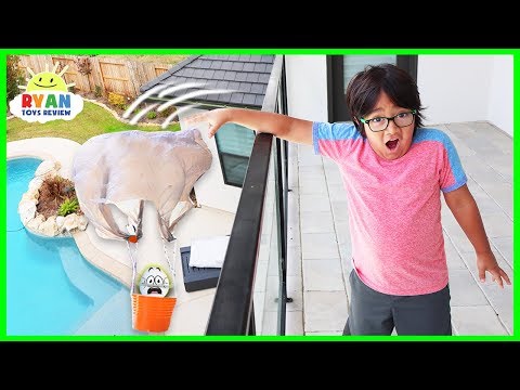Egg Drop Project Ideas Science Experiments for Kids