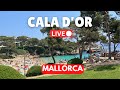 Live in cala dor mallorca majorca   5 may 2024