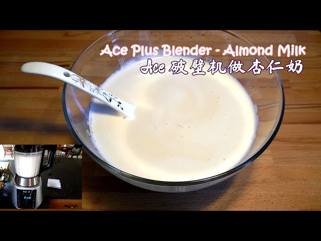 Ace Blender – Oat Milk – Instant Pot Recipes