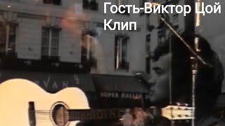 Гость-Виктор Цой клип