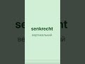 elegant, schlank, malerisch, kommerziell, senkrecht, theoretisch, tadellos