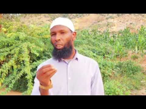 Nashida Abdoosh Aliyyi