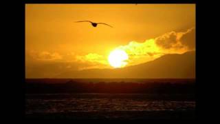 Chris Rea - Only to fly* chords