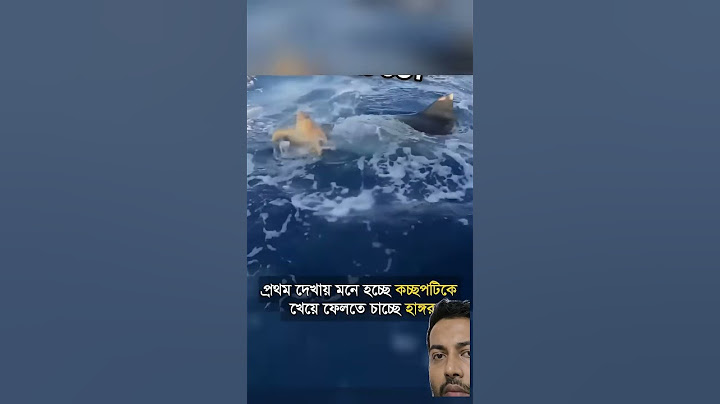 সমুদ্রের মাঝখানে এ ঘটনা না দেখলে বিশ্বাস করা অসম্ভব!#Mayajaal #unknownfacts #ancientsecret #agartha