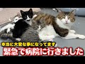 【閲覧注意】体調不良が重なり大変な事になってます