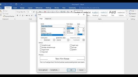 How to set TIMES NEW ROMAN, font size 12 on microsoft office word as default