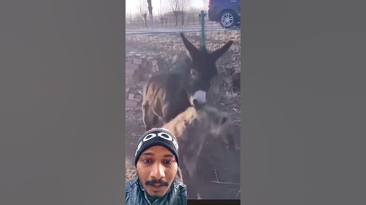 Ov və ovçu hər an dəyişə bilər... #animals #shorts
