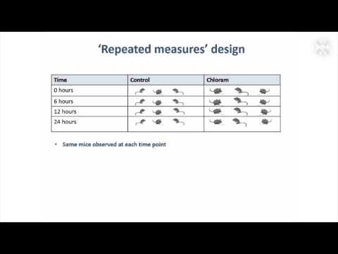 Video: En Komplett Cross-over-design Som Evaluerer Hundeaksept Av Carprieve® Og Rimadyl® Carprofen Tyggetabletter Hos Friske Hunder