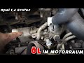 🔧 Opel Zafira A14NET – Ölkühler undicht? So dichtest du ihn richtig ab! 🛠️