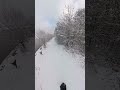 A Peaceful Cinematic Snow Shot