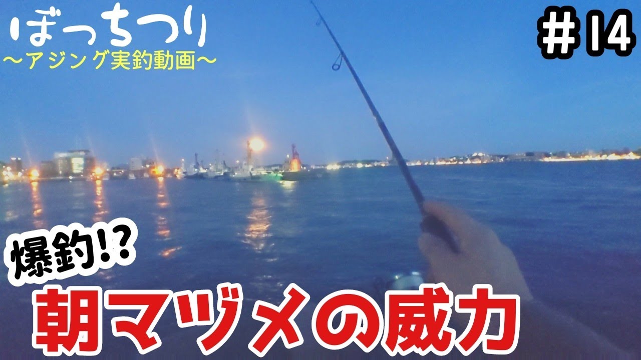 ぼっちつり 14 アジング実釣動画 爆釣 朝マヅメの威力 Youtube ぼっちつり 14 アジング実釣動画 爆釣 朝マヅメの威力 Youtube