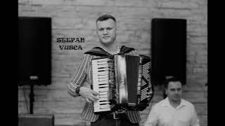 ❎STEFAN VUSCA - URCA OILE LA MUNTE❎