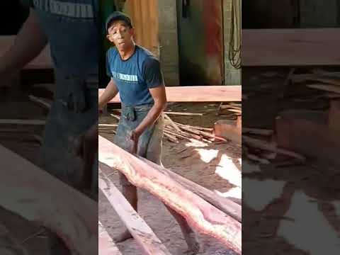 #cutting #woodcut #carpentry #tool #woodcuting #cuttingwood #machine #toolsmachine #woodworking