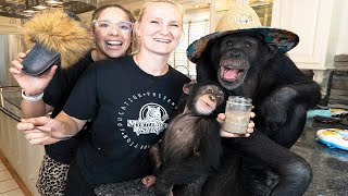 Chimp Show and Tell