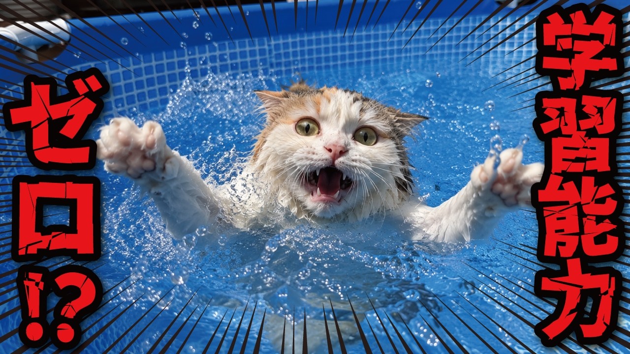 The pool season from hell is finally here - YouTube