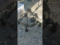 Check Out This Wrought Iron Chandelier From The Marysville Flea Market!