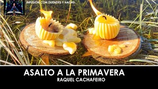 Infusión Con Duendes Y Hadas. Asalto A La Primavera