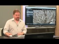 Importing and Organization - Lightroom Mastery