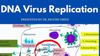 DNA Virus Replication Made SUPER Easy!