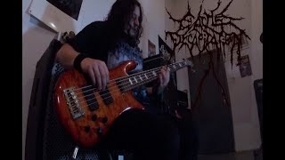 Cattle Decapitation Time'S Cruel Curtain Official Bass Playthrough Olivier Pinard