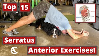 Best Serratus anterior exercises [Top 15!]